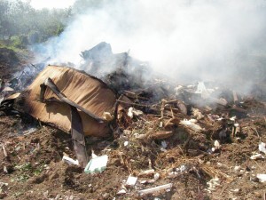 野外焼却（野焼き）の写真