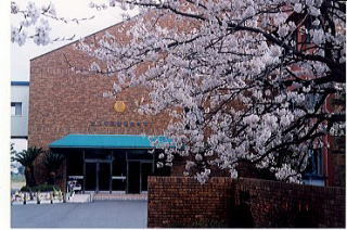 toryu junior high school